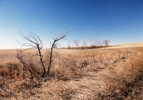 Nebraska grasslands